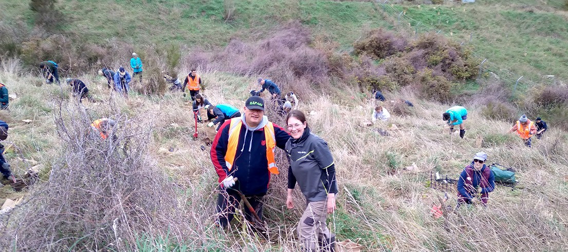 Read more about the article Cass Bay planting day a success despite weather